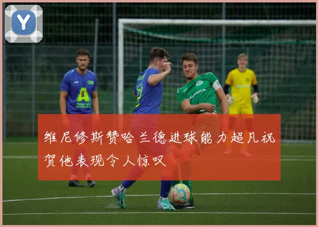 维尼修斯赞哈兰德进球能力超凡祝贺他表现令人惊叹