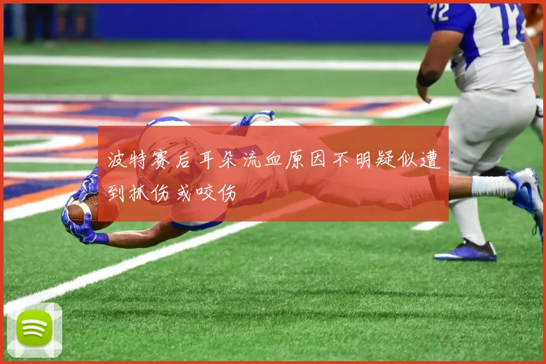 波特赛后耳朵流血原因不明疑似遭到抓伤或咬伤
