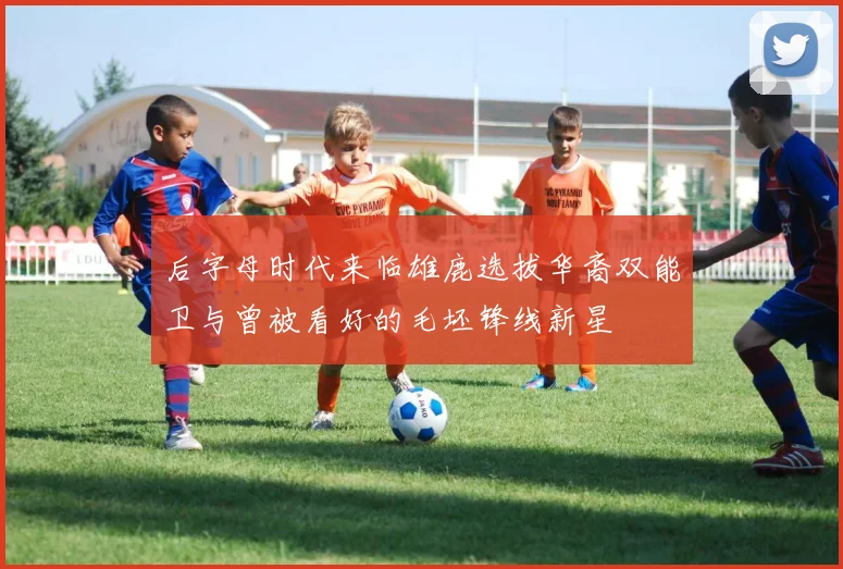 后字母时代来临雄鹿选拔华裔双能卫与曾被看好的毛坯锋线新星