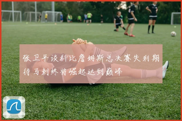 张卫平谈科比詹姆斯总决赛失利期待马刺终将崛起达到巅峰