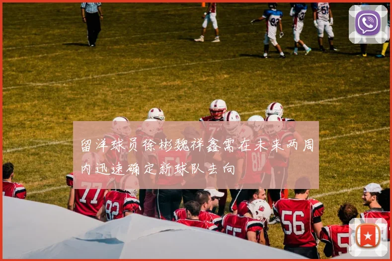 留洋球员徐彬魏祥鑫需在未来两周内迅速确定新球队去向
